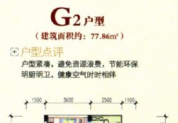 G2-77.86ƽ