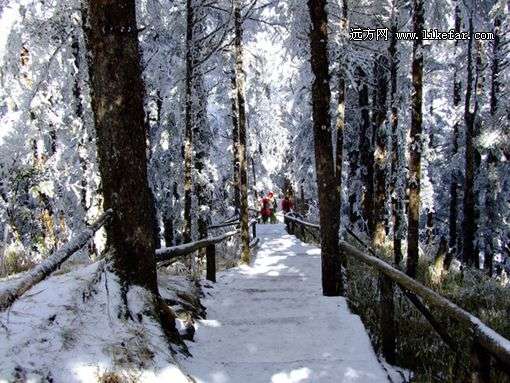 窗含西岭千秋雪 西岭雪山最全的滑雪攻略