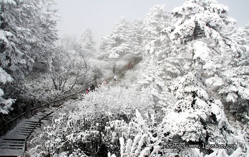 窗含西岭千秋雪 西岭雪山最全的滑雪攻略