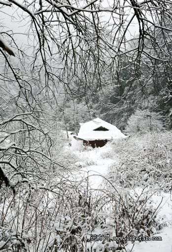 窗含西岭千秋雪 西岭雪山最全的滑雪攻略