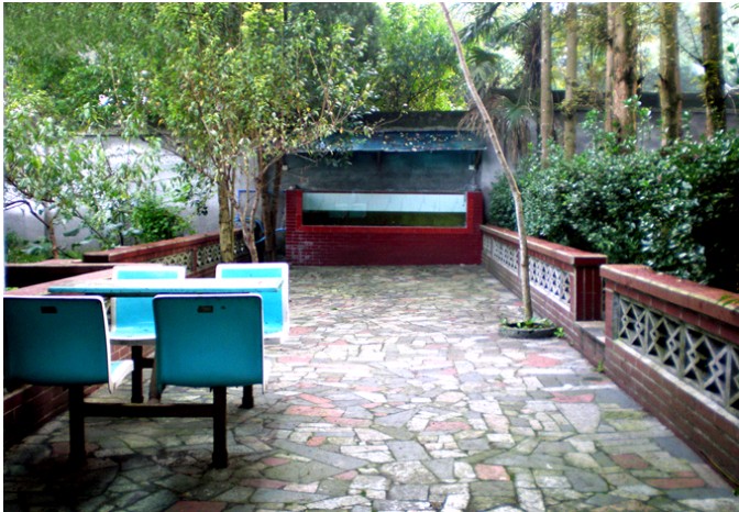 世外桃源,天然氧吧,唯有香樟园