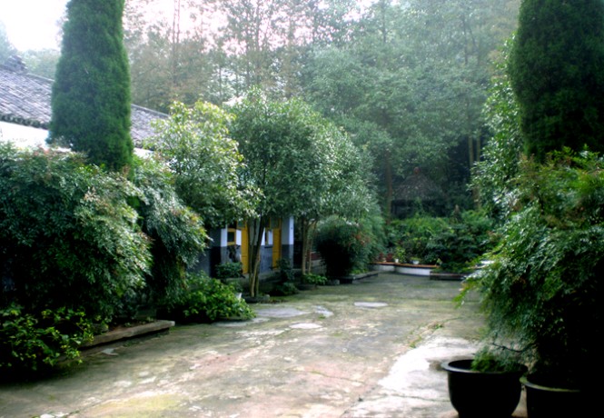 世外桃源,天然氧吧,唯有香樟园