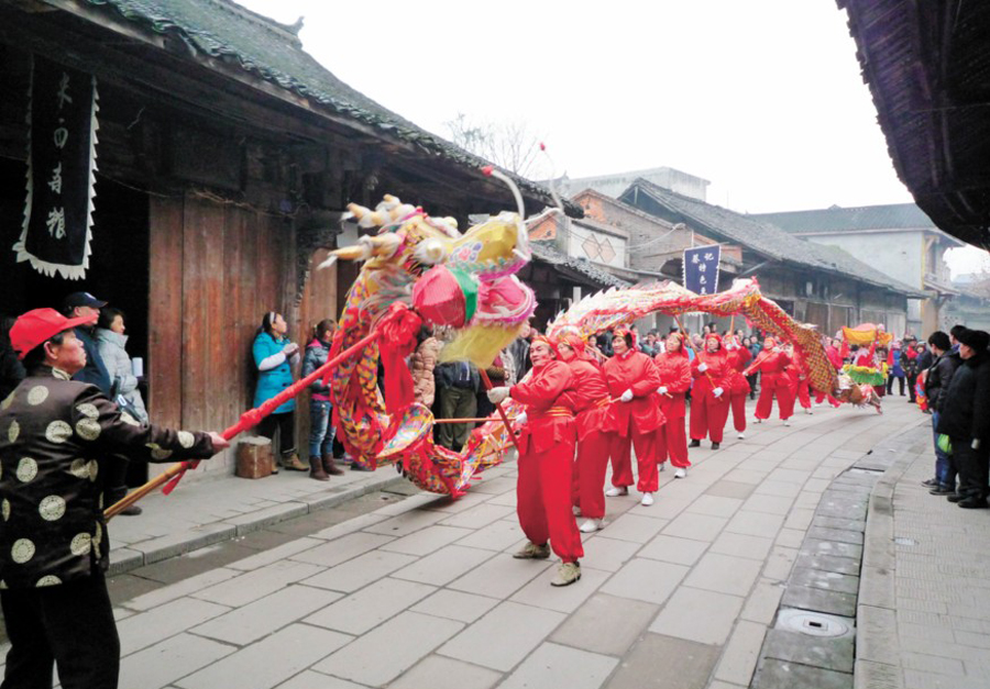 新春大邑看红梅报春 新场古镇赏舞龙耍狮(2)