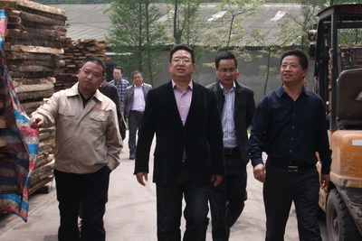 县领导金星悦来调研 要求全力抓项目抓发展