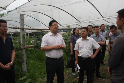大邑县领导韩场镇调研要求 加快一三产业互动