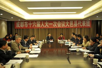 葛红林陈建辉李小新参加大邑代表团审议