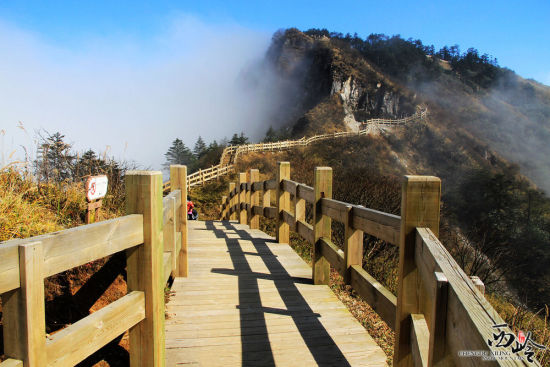 寻一叶世界 西岭雪山红叶等你来