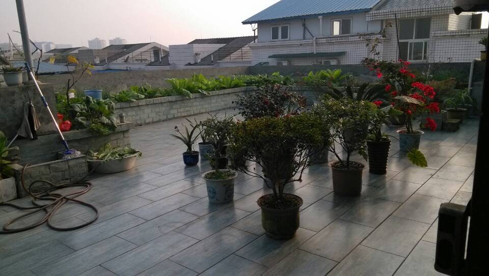 房主低价急售,赠送楼顶花园,低价实用,超值