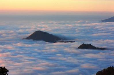 致购房者:山水田园 宜居大邑