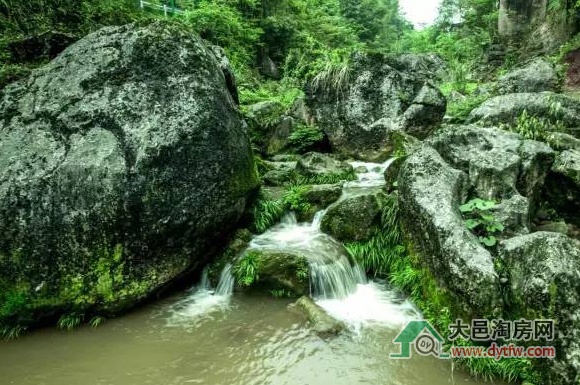 五一小长假去大邑天府花溪谷赏月季观竹海(图)