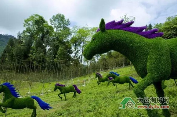 五一小长假去大邑天府花溪谷赏月季观竹海(图)