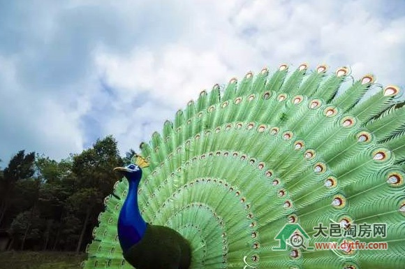 五一小长假去大邑天府花溪谷赏月季观竹海(图)