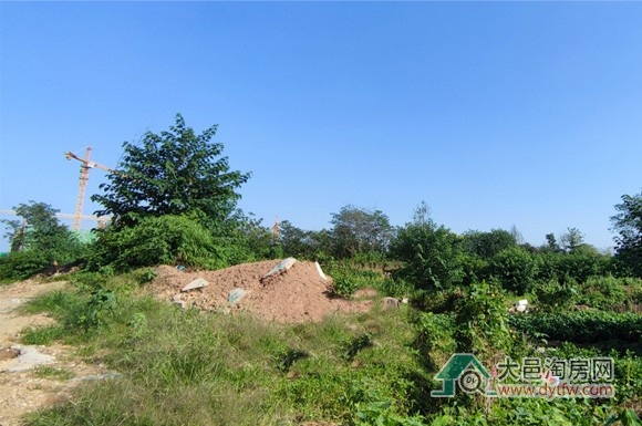 大邑县官渡小学建设项目勘察设计中标结果公布