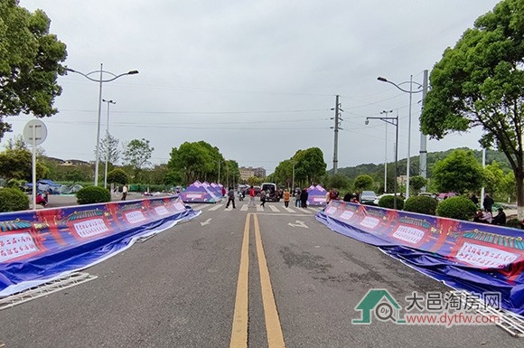 大邑青霞第二届民间子龙文化花船艺术活动即将举办