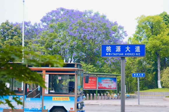 大邑南出入口节点:从拥堵到畅通无阻的华丽蜕变