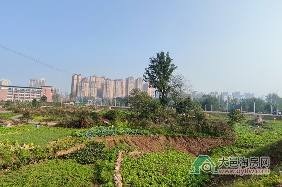 大邑县城王滩片区11号商业地块已出让