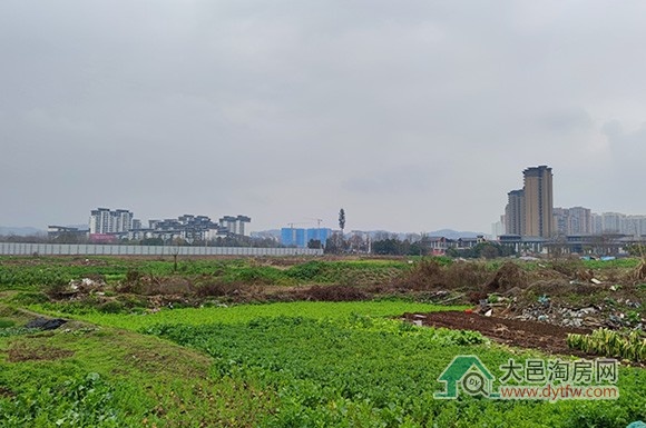 Դ2ŵؿ鶯̬ бϵ¥̲ý