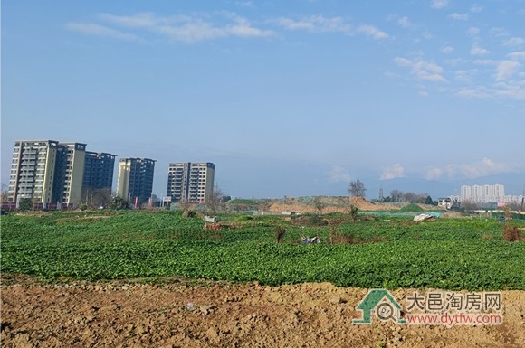 大邑将收回收购443.85亩闲置土地