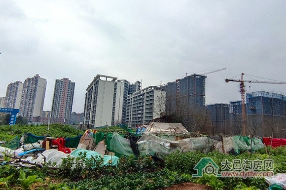 大邑县城五大主力板块房地产格局解析