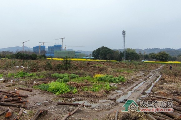 大邑桃源大道延伸段建设工程取得新进展