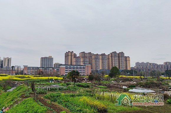 大邑王滩片区规划拟调整