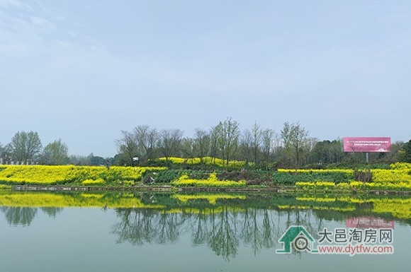 大邑多个项目上马 斜江河区域将有哪些变化?