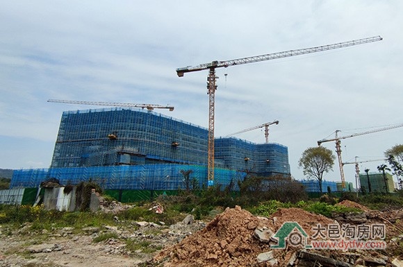 大邑县城两所医院2025年3月施工进度