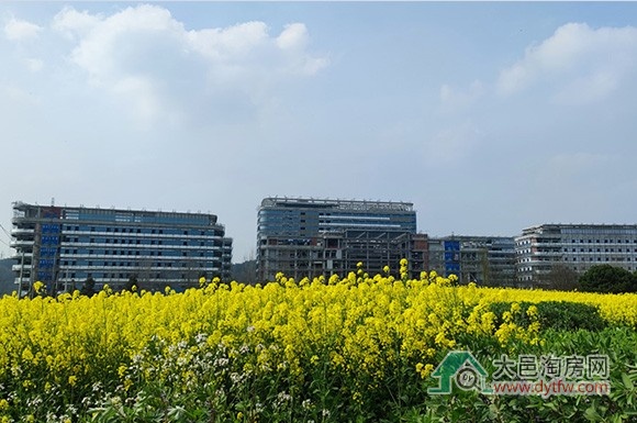 大邑县城两所医院2025年3月施工进度