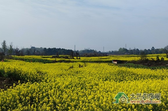 大邑2025年土地供应计划出炉 这些片区拟供地