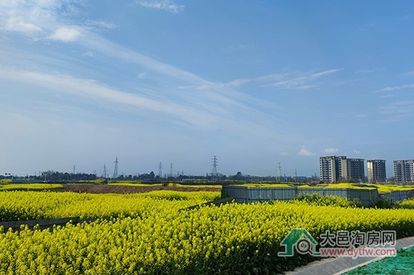 大邑2025年土地供应计划出炉 这些片区拟供地