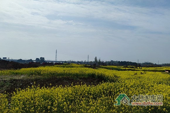 大邑2025年土地供应计划出炉 这些片区拟供地