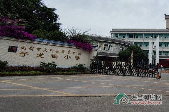 大邑县城区小学2025年招生划片范围出炉