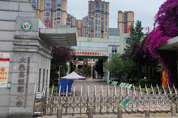 大邑县城区小学2025年招生划片范围出炉