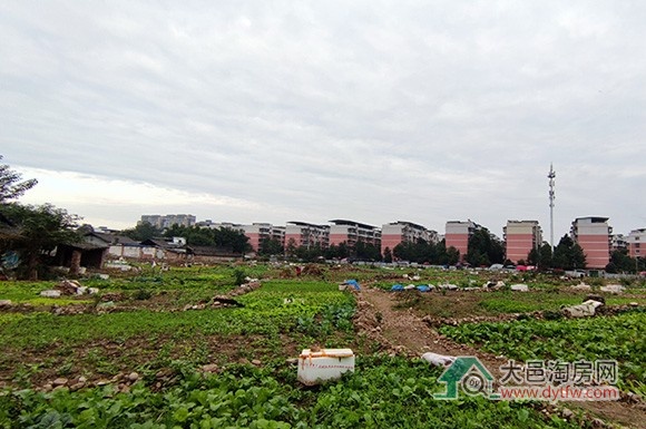 大邑红光片区规划拟调整