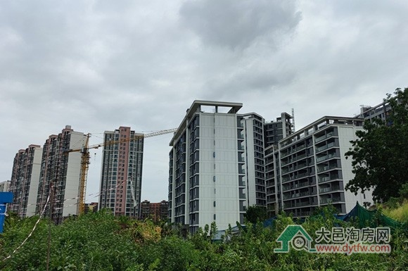 2025年4月份大邑县商品房预售取证情况