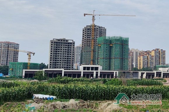 2025年5月份大邑县商品房预售取证情况