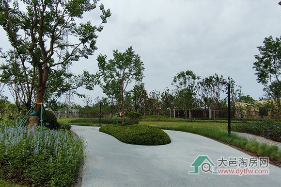 大邑王滩片区首宗配建公园绿地已成型