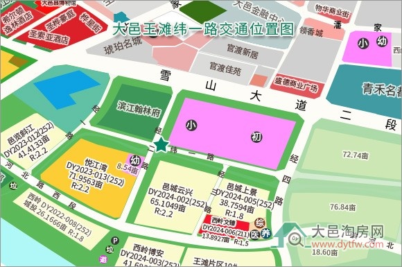 大邑王滩片区纬一路东段2025年7月现状情况