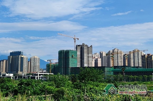 2025年7月份大邑县商品房预售取证情况