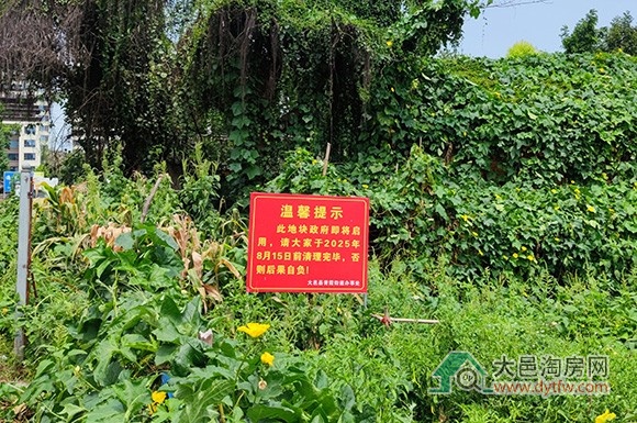 غҵؿӭ¶̬:815ǰ峡