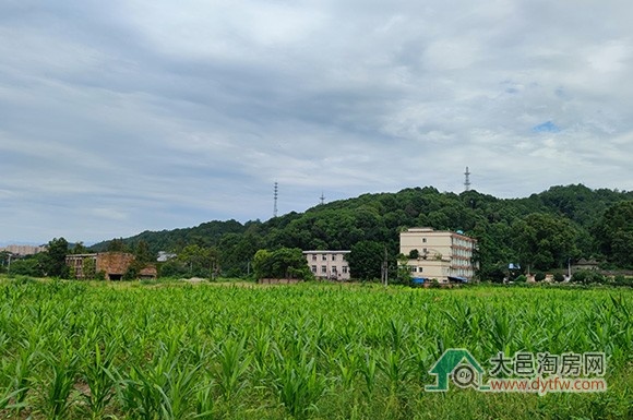 大邑桃花沟片区将启动城市设计编制