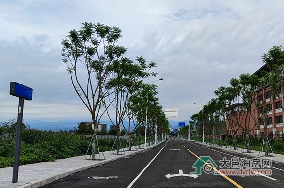 大邑王滩片区道路将启用新命名