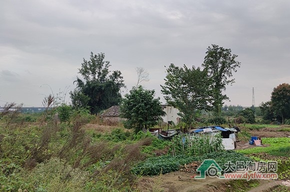 大邑县城王滩10号地块上市 起拍价221万/亩