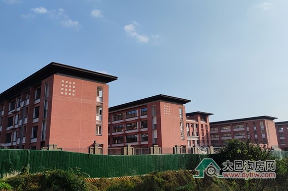 عٶСѧ202511½ʵ¼