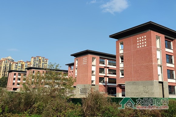 عٶСѧ202511½ʵ¼