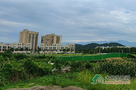 大邑单宗面积最大地块上市 建大学还是商业?