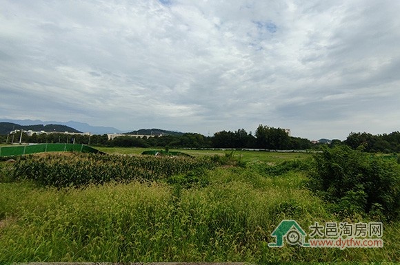 大邑单宗面积最大地块上市 建大学还是商业?