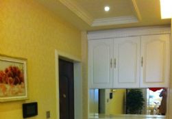 n_s12492288716459451115